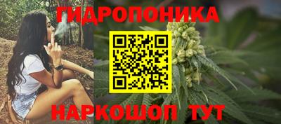 кокс Шебекино