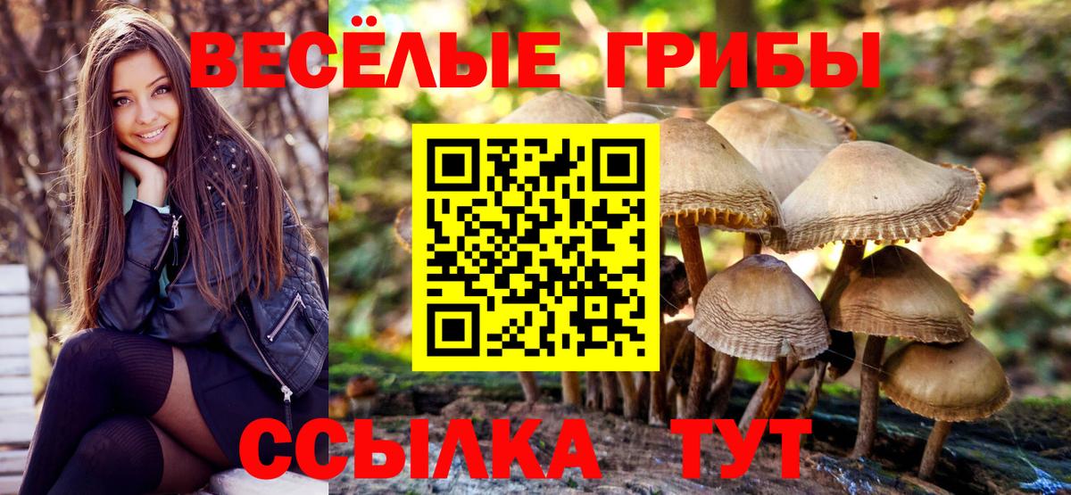 Псилоцибиновые грибы мухоморы Белая Калитва