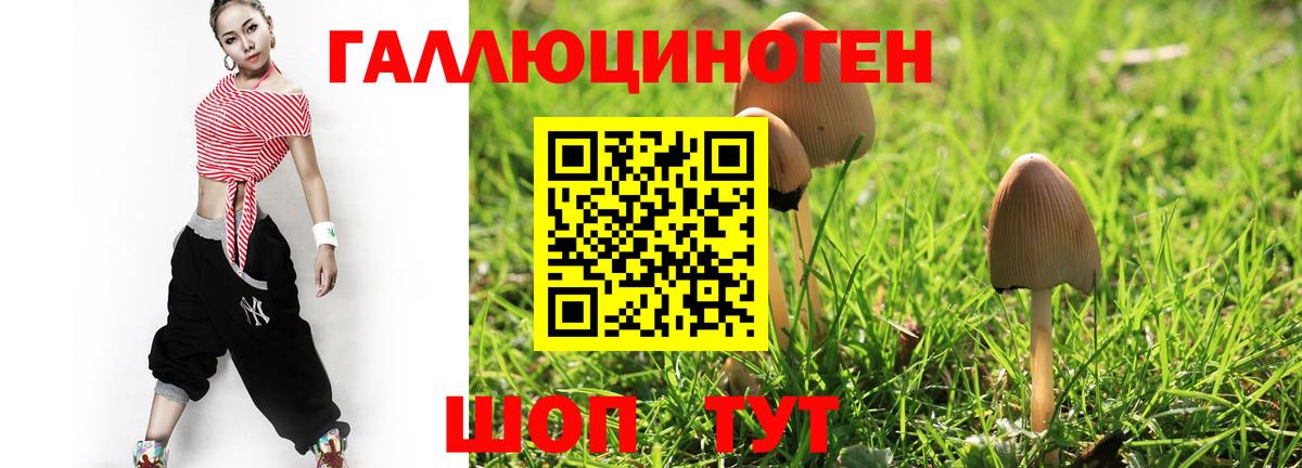 Псилоцибиновые грибы Magic Shrooms  Вход с VPN  Белая Калитва  Галлюциногенные грибы GOLDEN TEACHER 